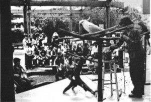 The Bronx Zoo: Wild Asia