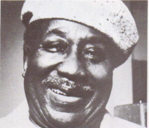 Muddy Waters -- Jazz and its Roots