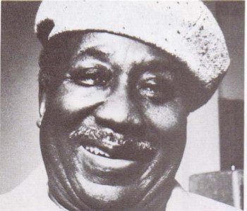 Muddy Waters -- Jazz and its Roots