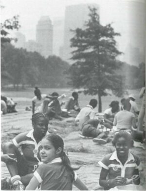 Kids enjoying lunch in the park --Summer Festival in NYC Metropolitan Area