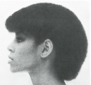The Atchison Look - The Cobra