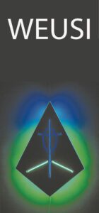 Ademola Olugebefola Healing Shield, 2009 Neon light, Plexiglass and electrical apparatus. 29 x 21 x 4 in. (73.7 x 53.3 x 10.2 cm).