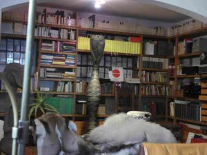 Sun Ra's Archival Material at Hartmut Geerken's home June 2020 Photo by Bernd Zabel